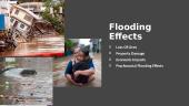 Flood presentation 9 puslapis
