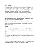 J. Biliūno kūrinių bruožai 2 puslapis