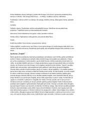 J. Biliūno kūrinių bruožai 14 puslapis