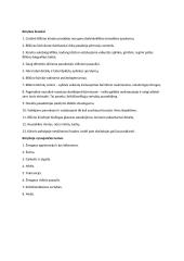 J. Biliūno kūrinių bruožai 4 puslapis