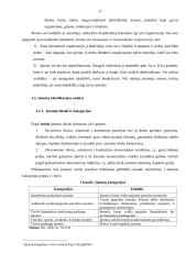 Lietuvos įmonių sistemos analizė  9 puslapis