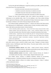 Lietuvos įmonių sistemos analizė  10 puslapis
