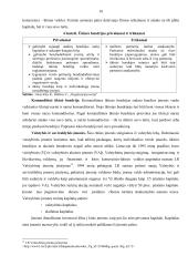 Lietuvos įmonių sistemos analizė  16 puslapis