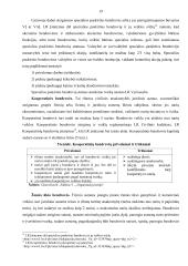 Lietuvos įmonių sistemos analizė  17 puslapis