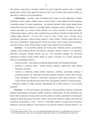 Lietuvos įmonių sistemos analizė  19 puslapis
