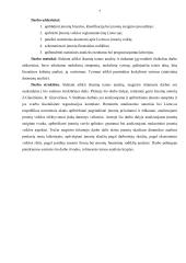 Lietuvos įmonių sistemos analizė  5 puslapis