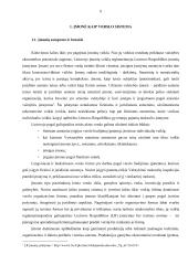 Lietuvos įmonių sistemos analizė  6 puslapis