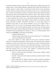 Lietuvos įmonių sistemos analizė  7 puslapis