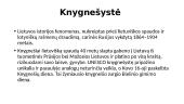 Mažosios Lietuvos indėlis į lietuvybės išsaugojimą (skaidrės) 11 puslapis
