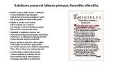 Mažosios Lietuvos indėlis į lietuvybės išsaugojimą (skaidrės) 5 puslapis