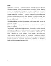 Procedūrinis teisingumas vs. materialus teisingumas