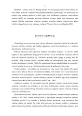 Nedarbas Lietuvoje 2019-2021 m. 4 puslapis