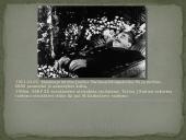 Josifas Stalinas (skaidrės) 9 puslapis