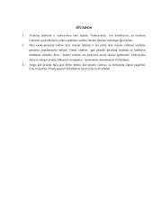 Vadovavimas ir lyderystė (referatas) 14 puslapis