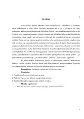 Vadovavimas ir lyderystė (referatas) 3 puslapis