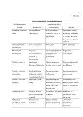 Vadovavimas ir lyderystė (referatas) 7 puslapis