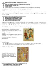 Viduramžių konspektas pagal naujausią egzaminų programą 2 puslapis