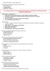 Viduramžių konspektas pagal naujausią egzaminų programą 11 puslapis