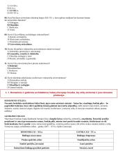 Viduramžių konspektas pagal naujausią egzaminų programą 12 puslapis