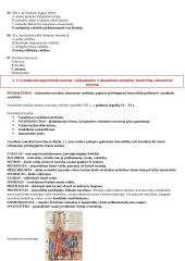 Viduramžių konspektas pagal naujausią egzaminų programą 6 puslapis