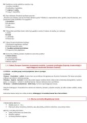 Viduramžių konspektas pagal naujausią egzaminų programą 8 puslapis