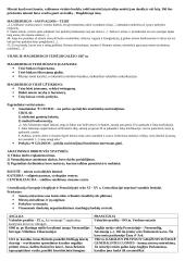 Viduramžių konspektas pagal naujausią egzaminų programą 9 puslapis