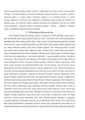 Pėsčiųjų eismas, palyginimas su kitomis rūšimis, privalumai, trūkumai, iliustruojantys pavyzdžiai 5 puslapis