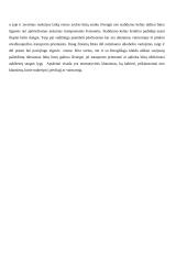 Pėsčiųjų eismas, palyginimas su kitomis rūšimis, privalumai, trūkumai, iliustruojantys pavyzdžiai 6 puslapis