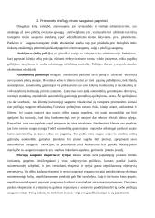 Pėsčiųjų eismas, palyginimas su kitomis rūšimis, privalumai, trūkumai, iliustruojantys pavyzdžiai 7 puslapis