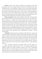 Pėsčiųjų eismas, palyginimas su kitomis rūšimis, privalumai, trūkumai, iliustruojantys pavyzdžiai 9 puslapis