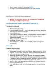 Nacionalinis saugumas 2 puslapis