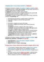Nacionalinis saugumas 11 puslapis