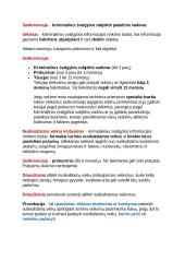 Nacionalinis saugumas 17 puslapis
