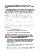 Nacionalinis saugumas 18 puslapis