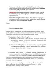 Nacionalinis saugumas 19 puslapis