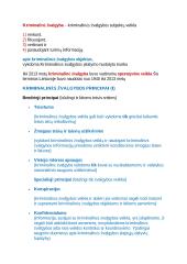 Nacionalinis saugumas 6 puslapis
