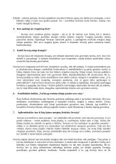 Vaižganto apysaka „Dėdės ir dėdienės“ klausimai apie Severiją 2 puslapis