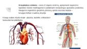 Žmogaus kraujotakos sistema 2 puslapis