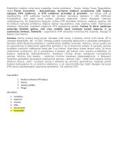 Liublino unija. Konspektas 4 puslapis