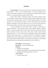 Faktoringas (bankininkystės individualus darbas) 2 puslapis