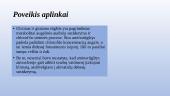 Aminorūgštys ir baltymai (skaidrės) 16 puslapis