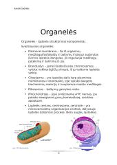 Virtuali kelionė po ląsteles 10 puslapis