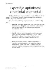 Virtuali kelionė po ląsteles 11 puslapis