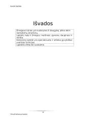 Virtuali kelionė po ląsteles 15 puslapis