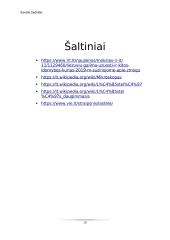 Virtuali kelionė po ląsteles 18 puslapis