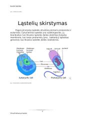 Virtuali kelionė po ląsteles 5 puslapis
