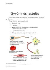 Virtuali kelionė po ląsteles 9 puslapis