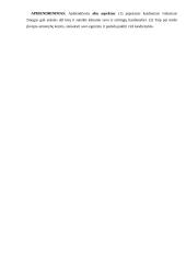 Ar meilė suteikia kasdienybei kilnumo? kalba su planu 4 puslapis