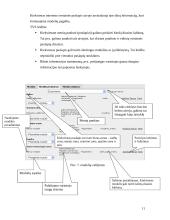 Turinio valdymo sistemos taikymas UAB “Elektroninių idėjų studija” įmonės verslo procesuose 10 puslapis