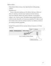 Turinio valdymo sistemos taikymas UAB “Elektroninių idėjų studija” įmonės verslo procesuose 11 puslapis